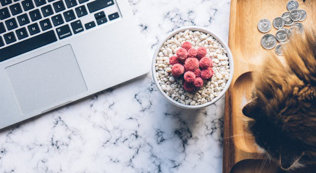 Product Photography 1